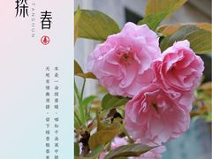 -圣地·布达拉酒店(江北嘴金融城店)