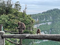 -峨眉山风景名胜区