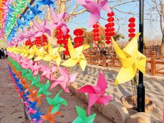 -河北村民俗体验园