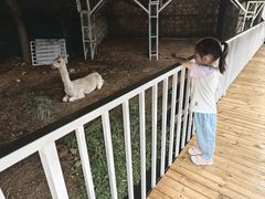 -丽泽山庄·生态怀柔菜·虹鳟鱼(红螺寺店)