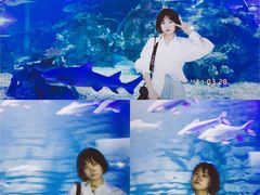 -江和美海洋公园