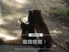 -昆明动物园