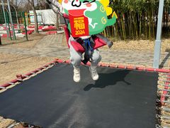 -前小桔亲子创意农场·草莓采摘·露营烧烤