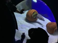 -江和美海洋公园