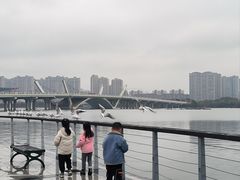 -蠡湖大桥公园