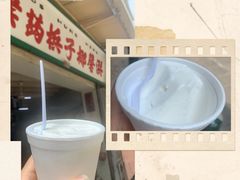 -洪馨椰子