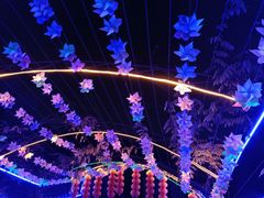 -马帮寨院坝火锅(龙港公园店)