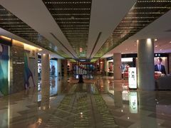 -杭州温德姆至尊豪廷大酒店