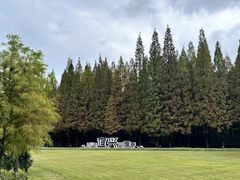 -宜兴龙背山森林公园
