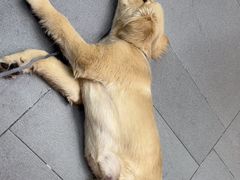 -联合动物医院(光谷诊疗中心)