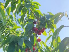 -河北村民俗体验园