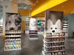 -KKV(深圳宏发大仟里店)