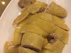 姜葱白切鸡（半只）-凤城酒家(环市西路店)