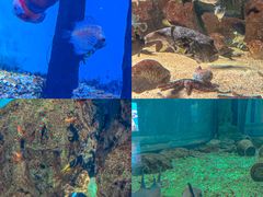 -福州罗源湾海洋世界旅游区