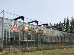 -上海长兴岛郊野公园