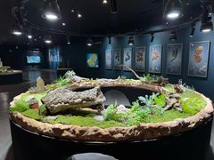 -南宫五洲植物乐园