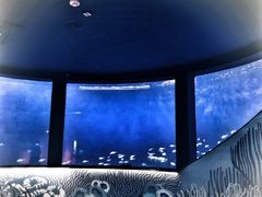 -沈阳海洋探索中心