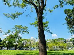 -阳台山森林公园