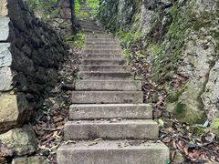 -树山生态村