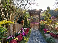 -杭州植物园