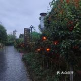 仙桃梦里水乡乡味美食游