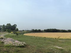 -三圣花乡旅游区