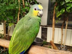 -南宫五洲植物乐园