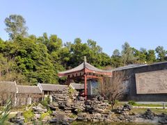 -清湖文化公园