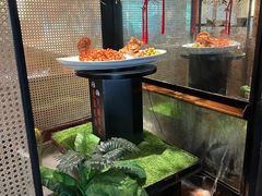-吴越荣记·苏州菜·松鼠桂鱼(斜塘老街店)