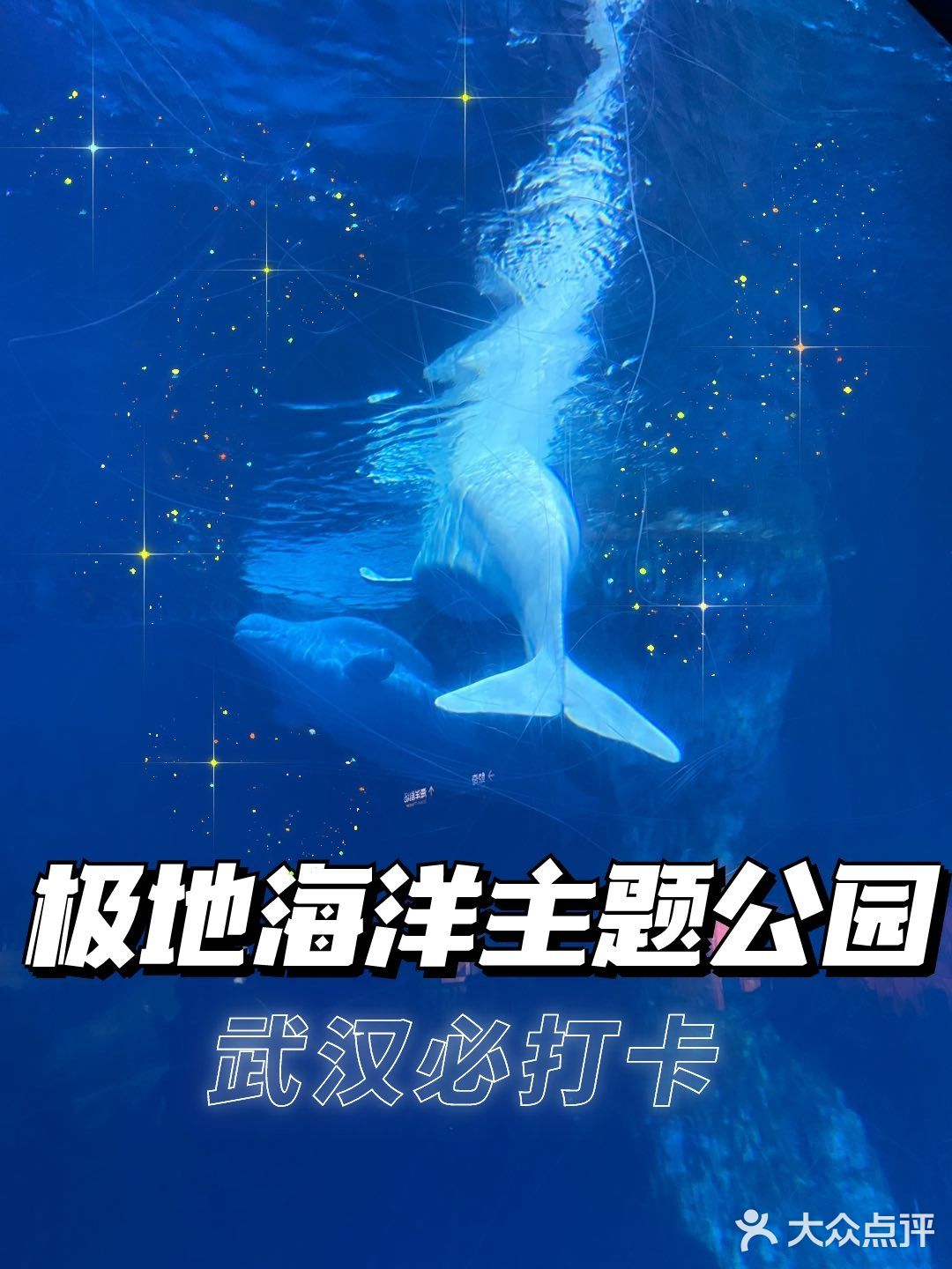 武汉必打卡旅游地标|极地海洋主题公园