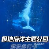 武汉必打卡旅游地标|极地海洋主题公园