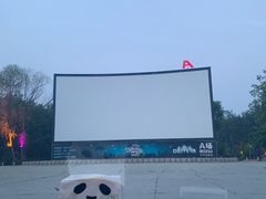 -枫花园汽车电影院(朝阳公园店)