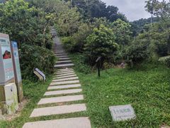 -梧桐山风景名胜区