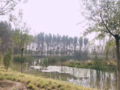 -东郊湿地公园