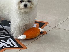 -佳雯宠物医院·皮肤科·内外科(春晓路分院)