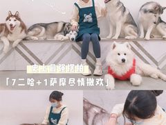 -星多哈·狗咖·拼豆·咖啡