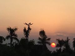 -叉叉纳里客栈(珠海情侣路唐家湾沙滩店)