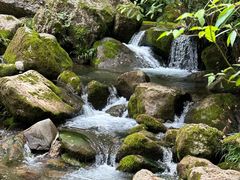 -青城山