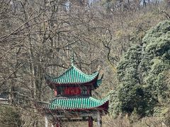 -岳麓山风景名胜区