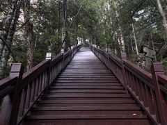 -汤旺河林海奇石景区