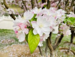 -大望京儿童游乐场