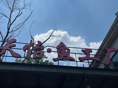-天怡·鱼工厂(梅溪湖店)