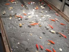 -四季民福烤鸭店(前门店)