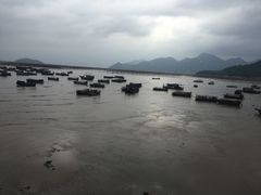 -小皓村