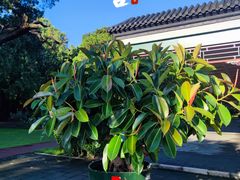 -北京市劳动人民文化宫(太庙)