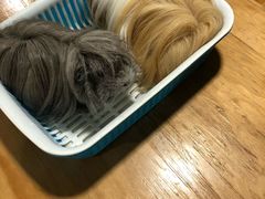 -藦茜花园宠物主题亲子互动体验馆(国顺东路店)