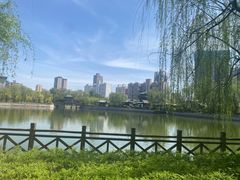 -迎泽公园