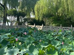 -柳莺湖上·湖景餐厅·江南菜(西湖店)