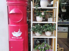 -猫的天空之城概念书店(束河店)