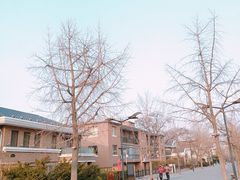 -天正河鲀·河豚亭(大连店)